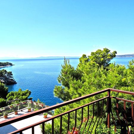 Apartments Pino Brela Dış mekan fotoğraf